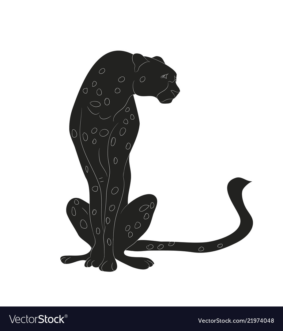 Featured image of post Cheetah Outline Sitting