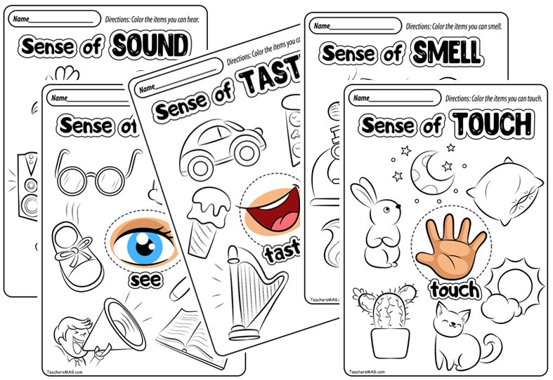 Featured image of post Five Senses Activities For Preschool Printables Free