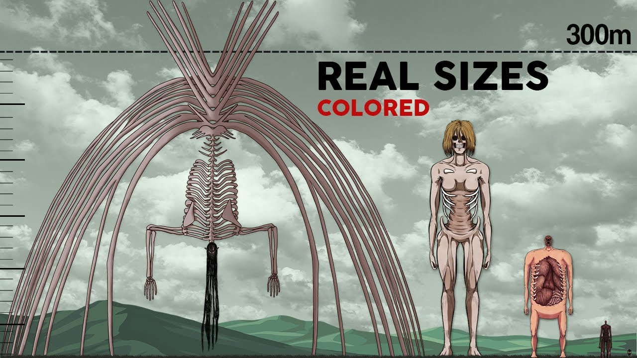 Featured image of post Founding Titan Season 3