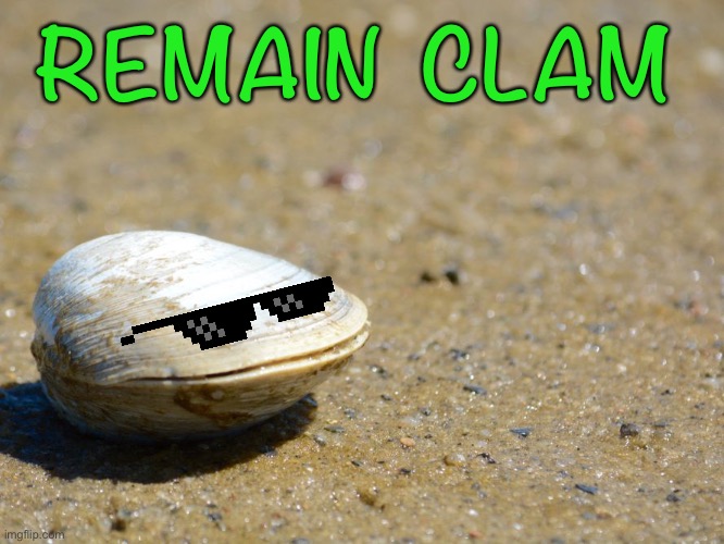 Featured image of post Happy Clam Gif