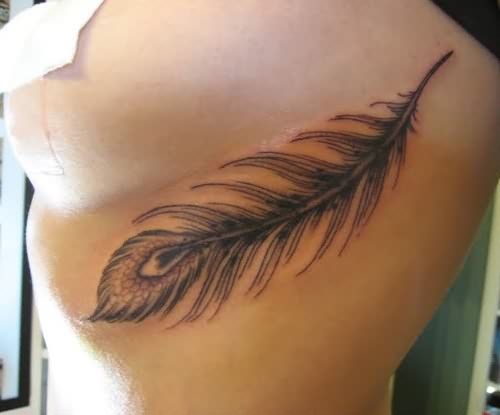 Featured image of post Peacock Feather Tattoo Black And White