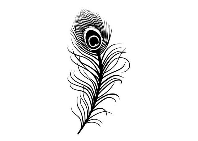 Featured image of post Peacock Feather Tattoo Design Black And White