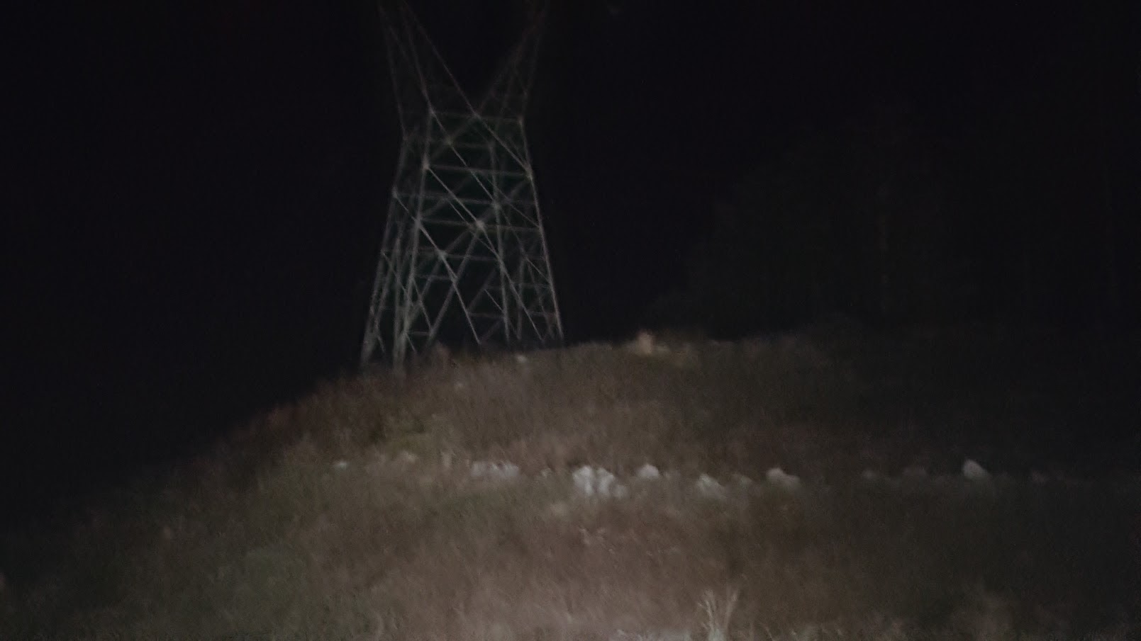 Featured image of post Scp 3785