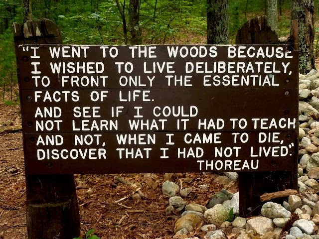 Featured image of post Thoreau Walden Quotes I Went To The Woods