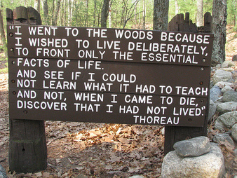 Featured image of post Thoreau Walden Quotes Where I Lived And What I Lived For